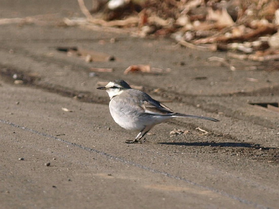 f0208666_13253672.jpg