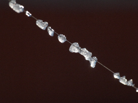 f0208666_13364926.jpg