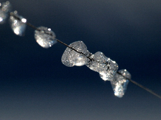 f0208666_1337178.jpg