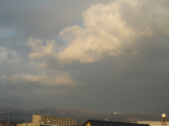 d0109373_845777.jpg
