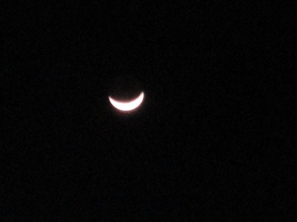 d0109373_8492444.jpg