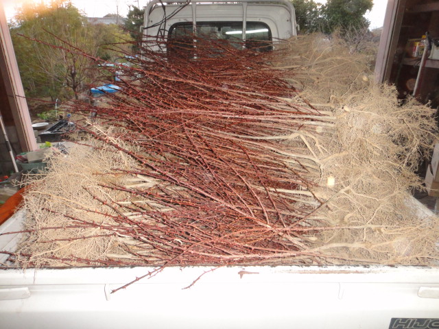 f0137275_4563252.jpg