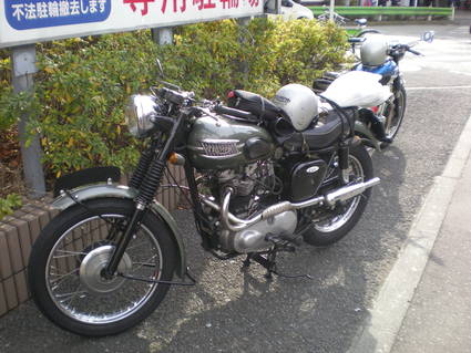 a0255081_1161378.jpg