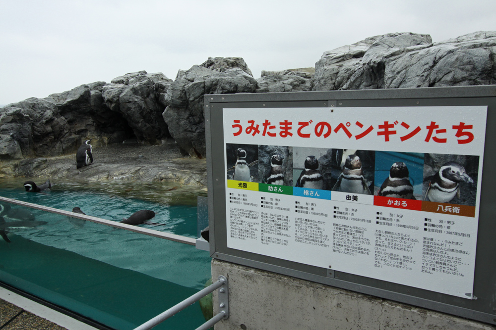 e0164282_1221796.jpg