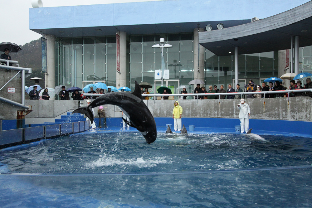 e0164282_2154179.jpg