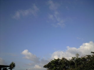 d0240983_19195470.jpg