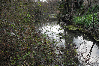e0066586_9104496.jpg