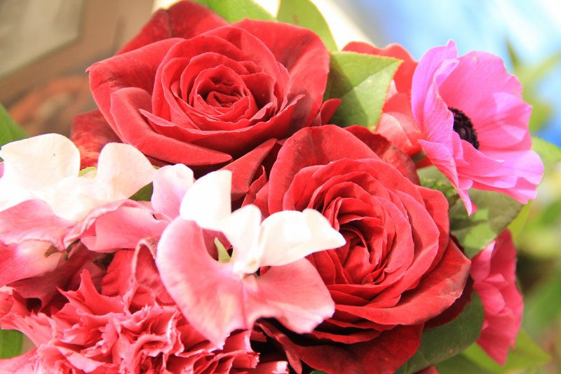 a0188405_15491790.jpg