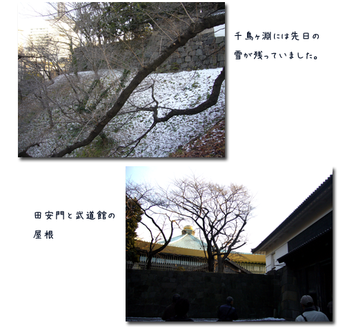 c0051105_0395518.png