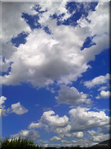 e0137705_1574333.jpg