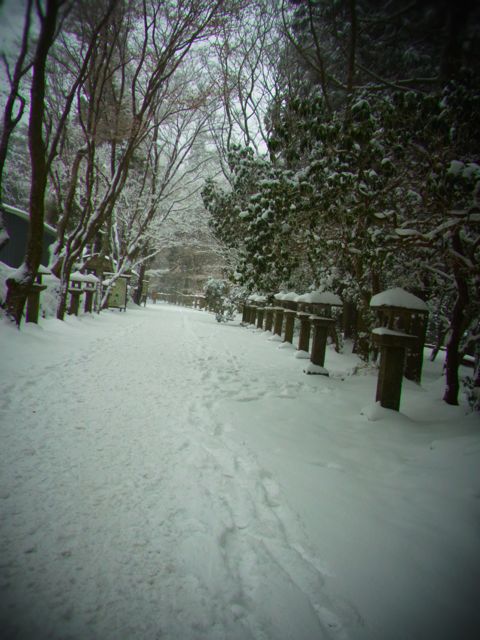 b0183911_2324626.jpg