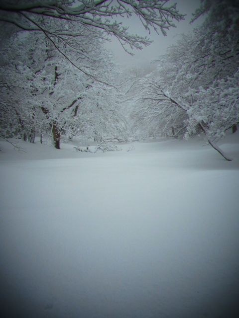 b0183911_23511359.jpg
