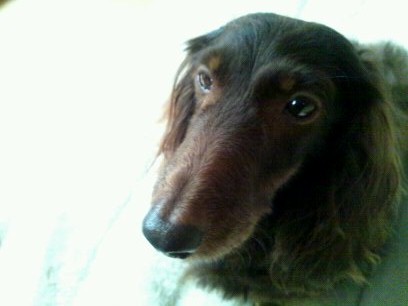 c0150520_22464989.jpg