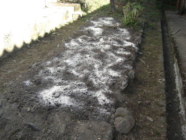 d0167621_9271728.jpg