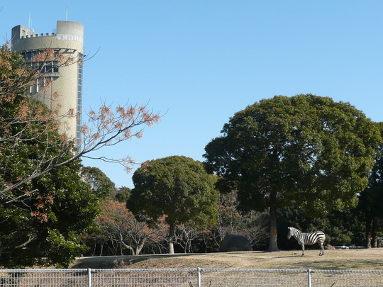 c0009528_22535059.jpg