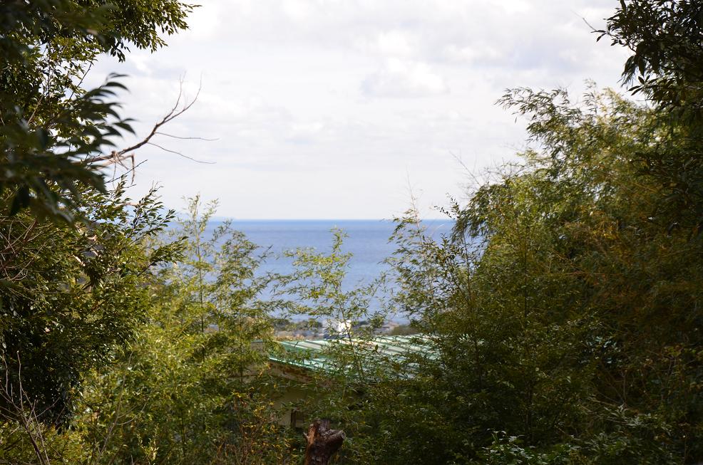 f0124830_1211477.jpg