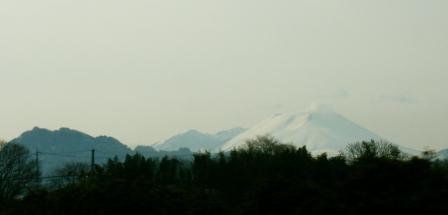a0146431_6395622.jpg