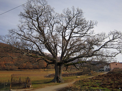 f0234936_8344715.jpg