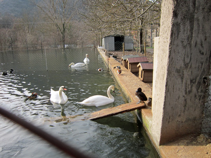 f0234936_8363743.jpg