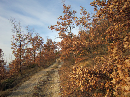 f0234936_8382647.jpg