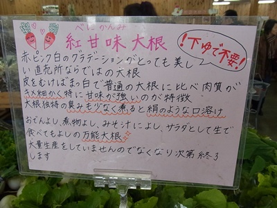 大根説明