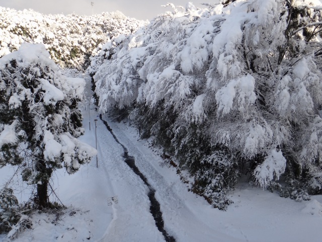 f0167844_21304731.jpg