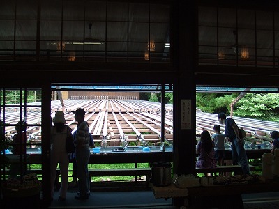 e0173645_1144875.jpg