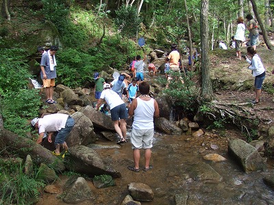 e0173645_1646103.jpg