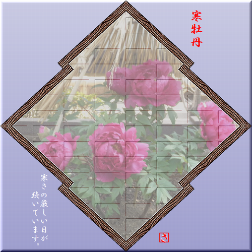 b0133752_2253483.png