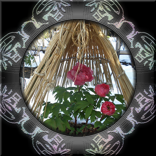 b0133752_23121526.png