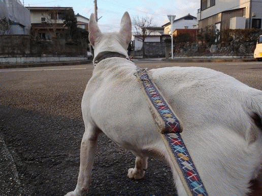 f0011352_9161598.gif