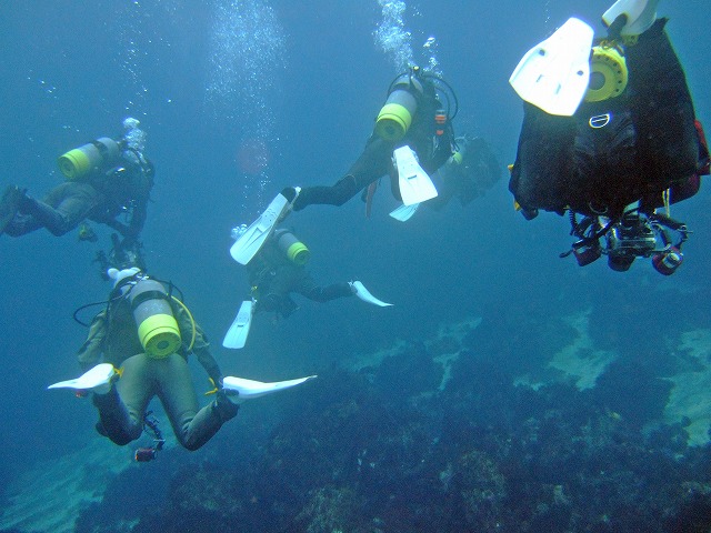 a0079659_17455563.jpg