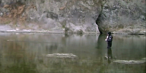 f0084561_1450231.gif