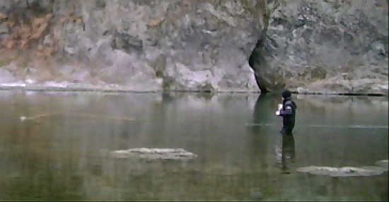 f0084561_1450524.gif