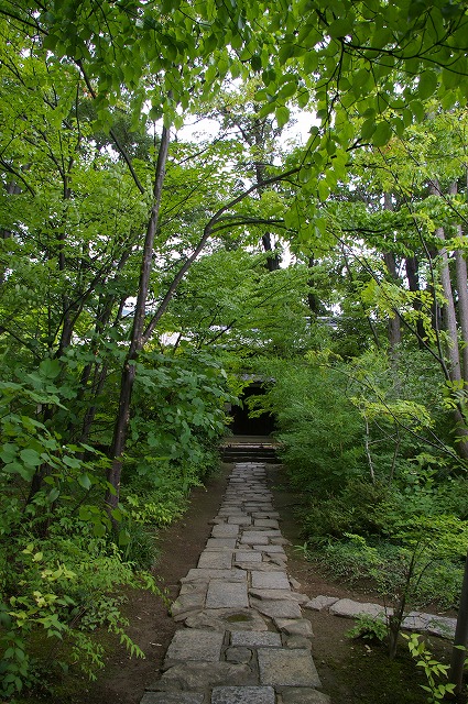 f0168478_20365344.jpg