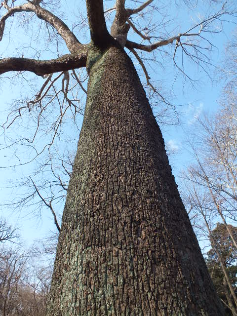 e0145782_18554540.jpg