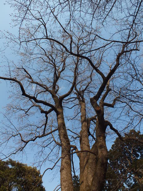 e0145782_18595791.jpg