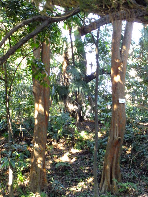e0145782_1915510.jpg