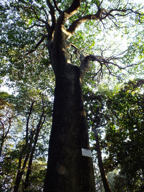 e0145782_1924888.jpg
