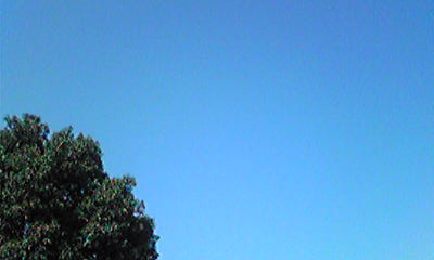 c0125283_18311474.jpg