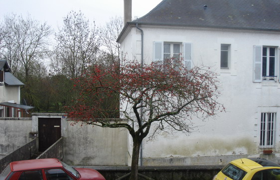 a0247585_4395820.jpg