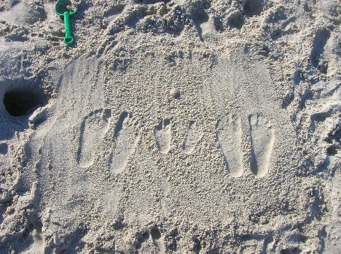 e0138289_812359.jpg