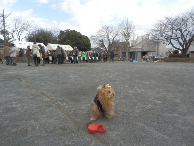 f0130894_13552698.jpg