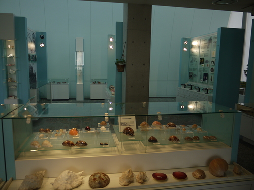 d0162695_984323.jpg