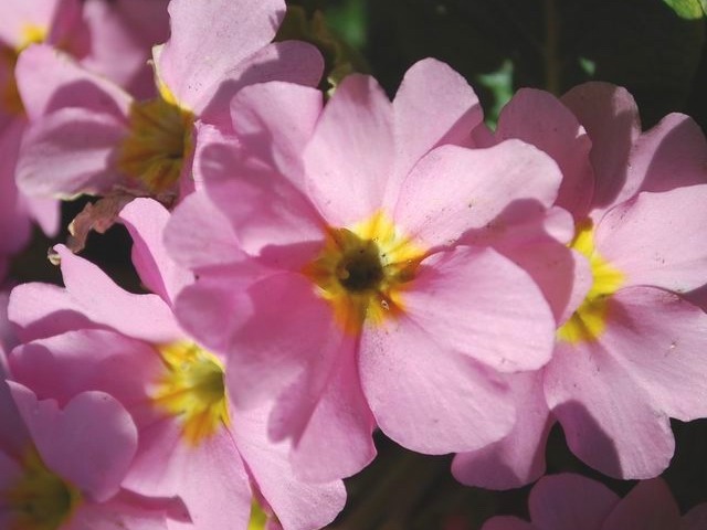 e0025300_15405841.jpg