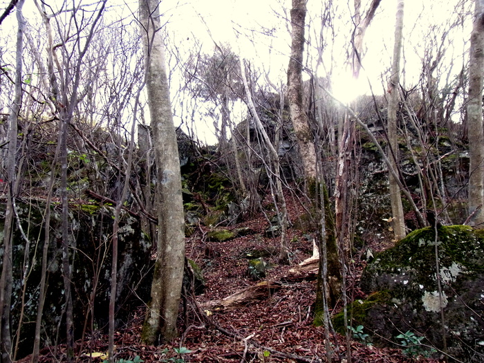 c0197004_2343468.jpg