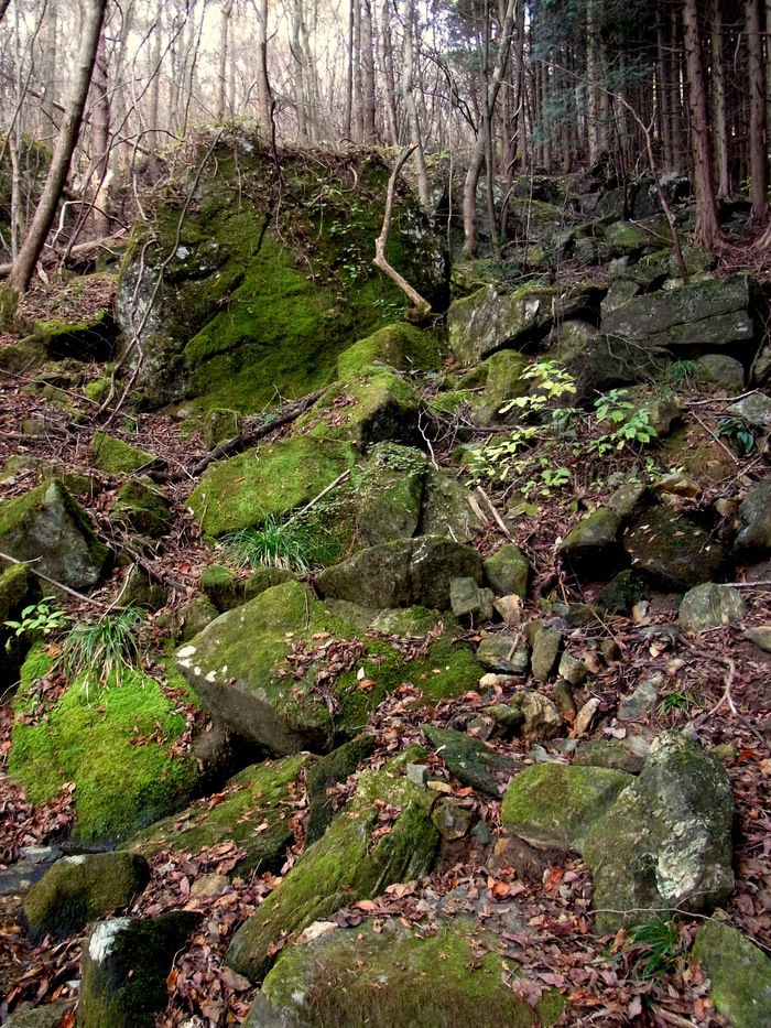 c0197004_23435576.jpg
