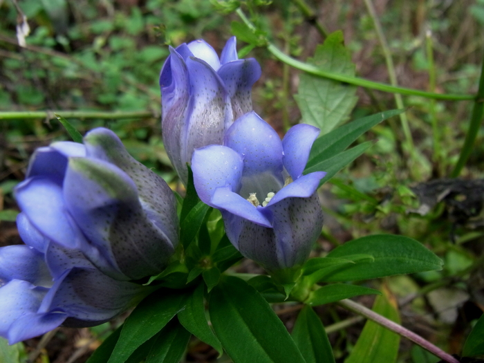 c0197004_23442870.jpg