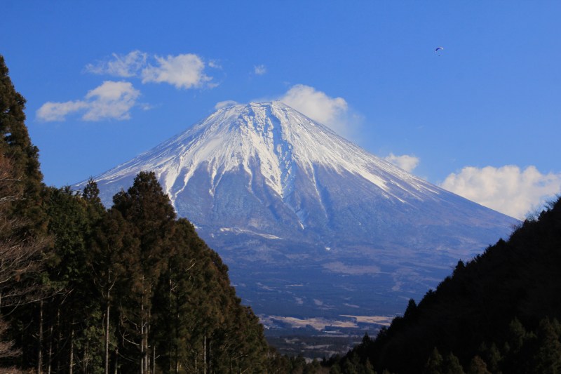 a0188405_872764.jpg