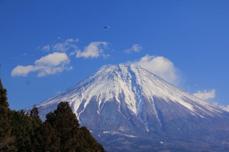 a0188405_875977.jpg